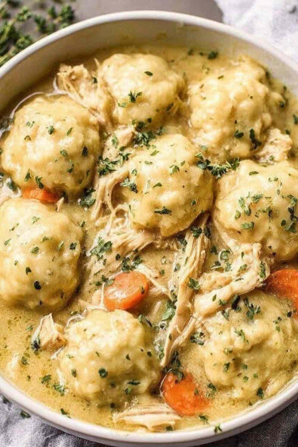 easy-chicken-and-dumplings-dutch-oven-recipe